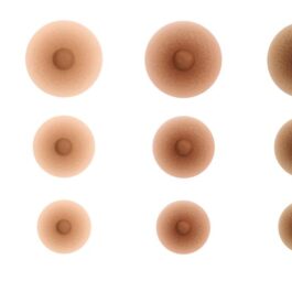 Mamelons adhésifs nipples Ivoire Amande Bronze Fauve Ivory Almond Bronze Tawny 136 137 138 139 Amoena Studio Équilibra